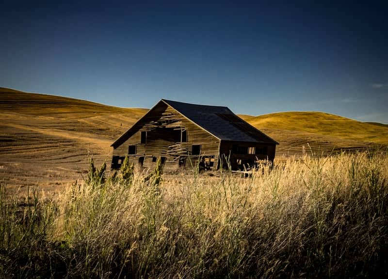 Abandoned Barn in the Palouse Hills - Image 1
