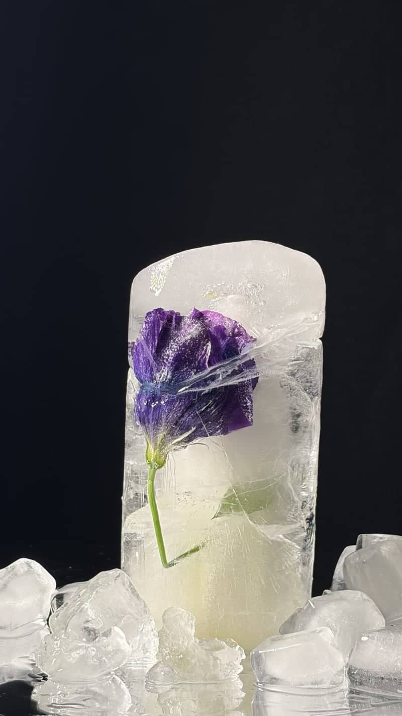 Frozen Flower Macro Studio - Image 1