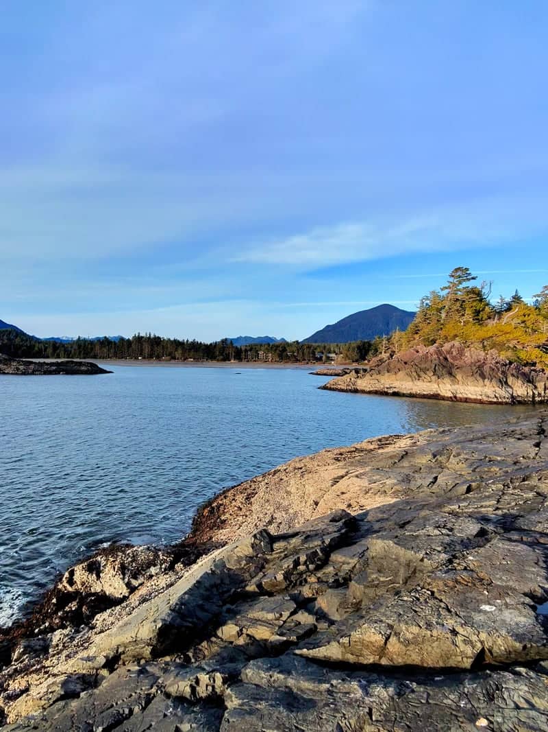 Tofino Coastal Overlook - Image 1
