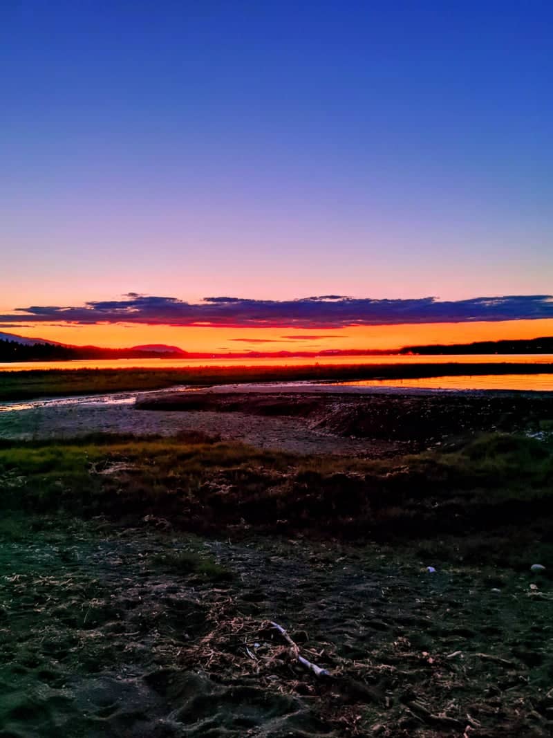 Royston Waterfront - Image 1