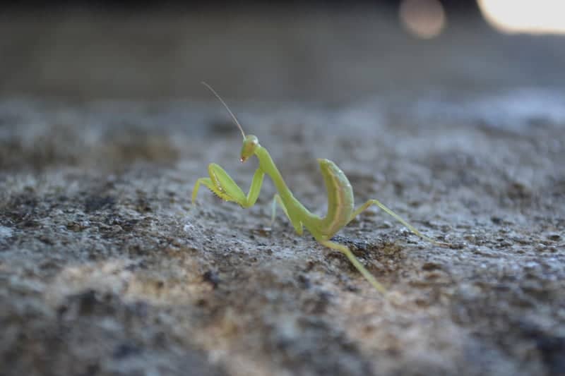 Luberon Nature Trail - Image 1