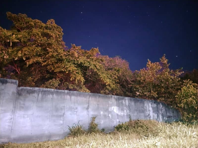 Guanare Night Garden Wall - Image 1