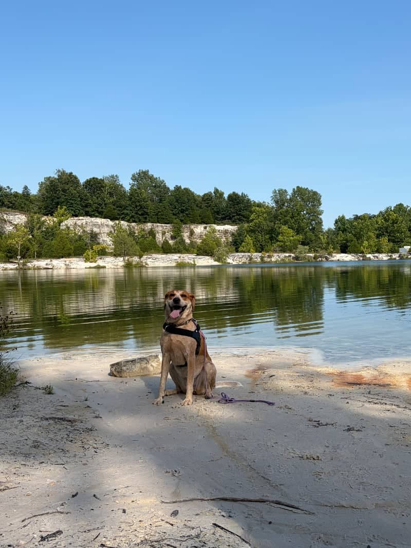 Klondike Park Quarry Lake - Image 1