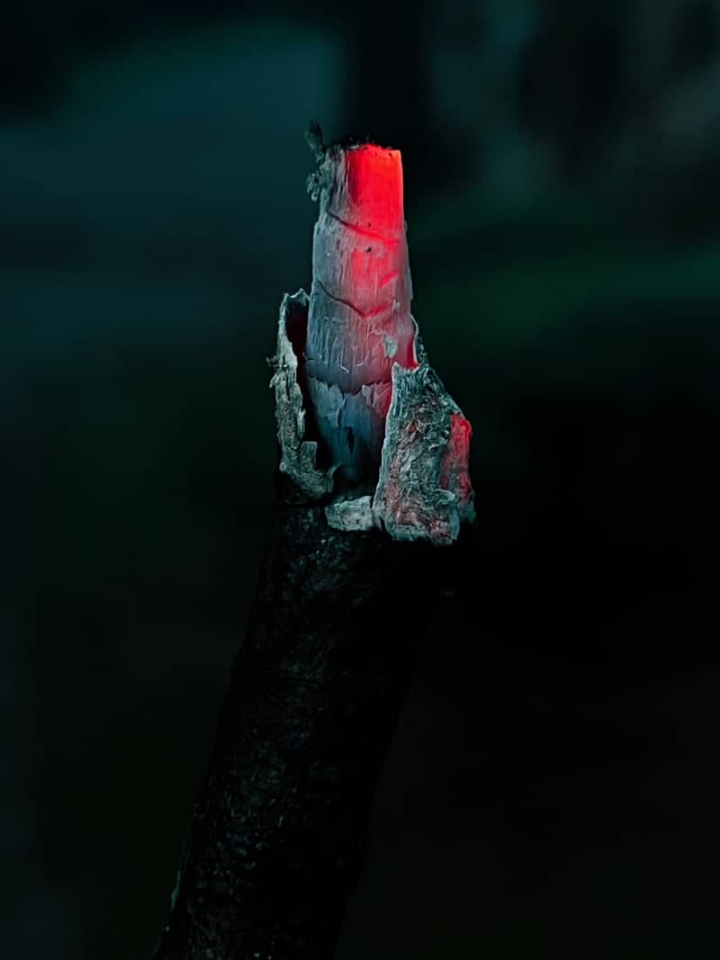 Glowing Ember Detail - Image 1