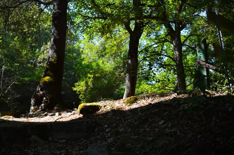 Luberon Forest Trail - Image 1