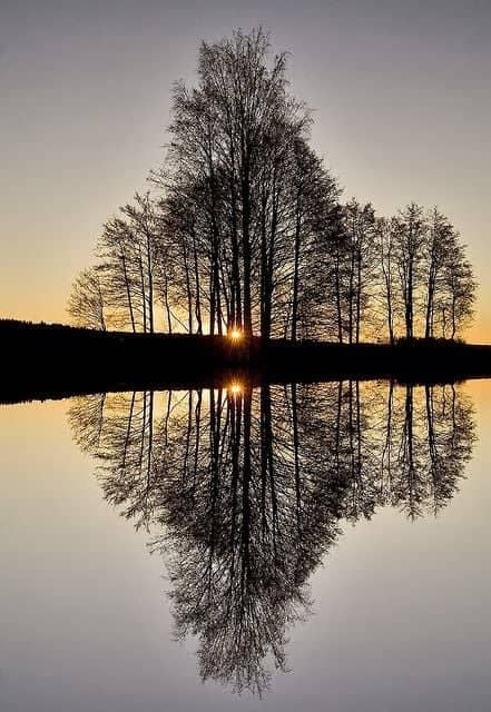 Rural Illinois Lakeside Reflection - Image 1