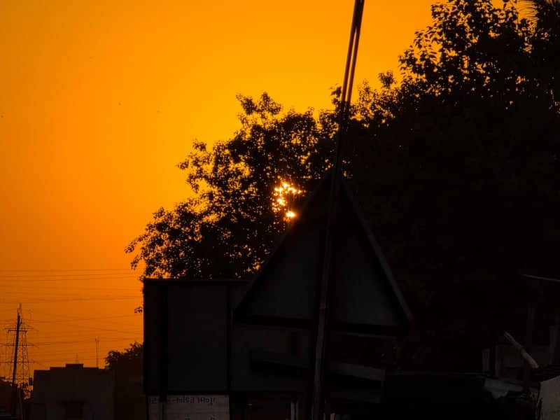 Gujarat Roadside Sunset Silhouette - Image 1