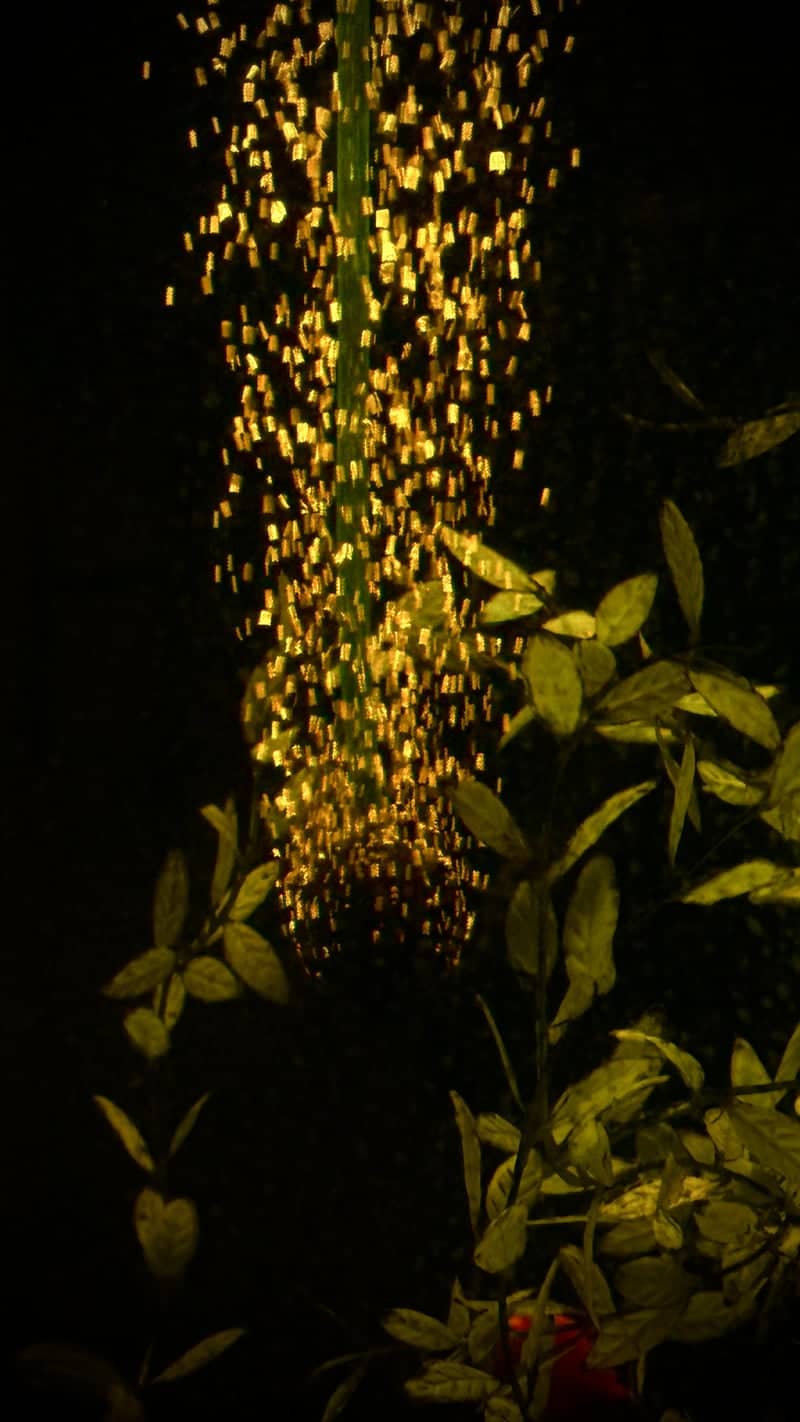Indoor Aquarium Display - Image 1