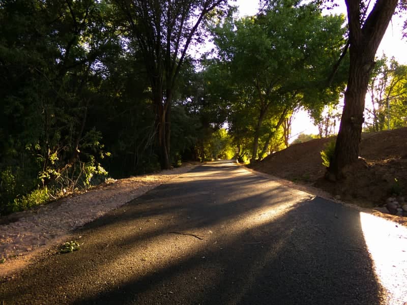 Roosevelt Nature Trail - Image 1