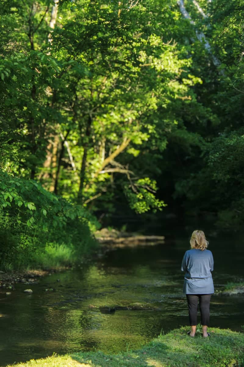 Giles Hollow Creek - Image 1