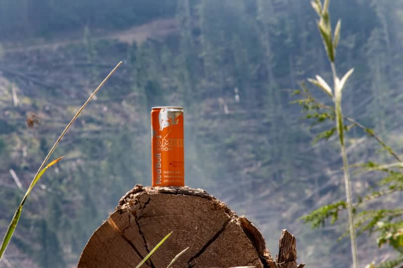 Coeur d'Alene National Forest Overlook - Image 3