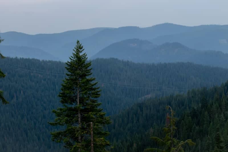 Coeur d'Alene National Forest Overlook - Image 2