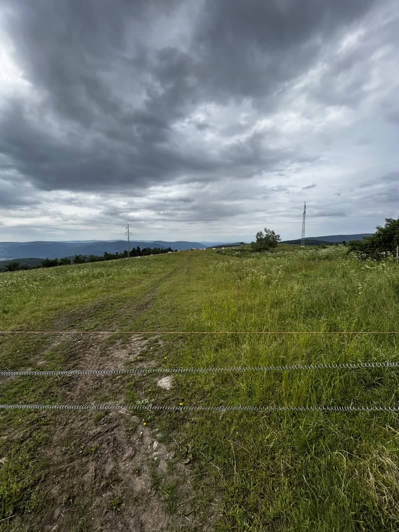 Mědník Hill Meadow - Image 1