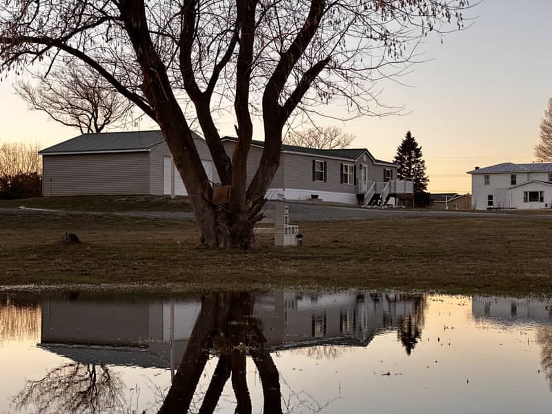 Ionia Rural Reflection - Image 2