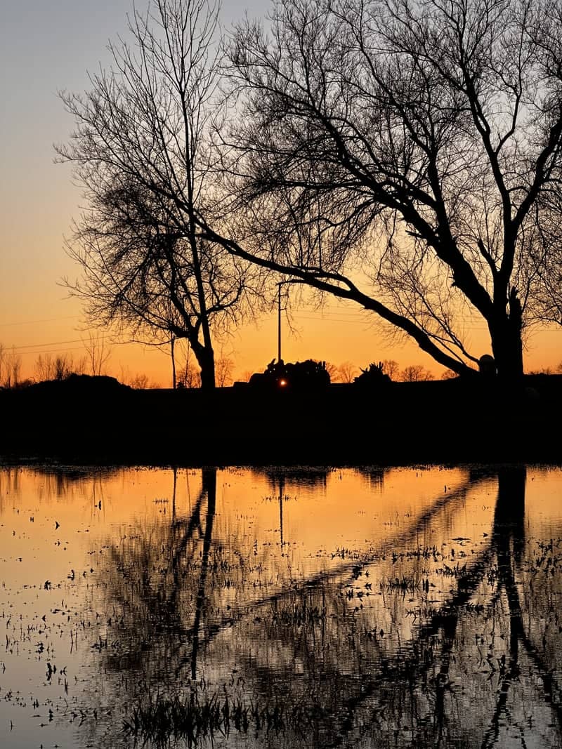 Ionia Rural Reflection - Image 1