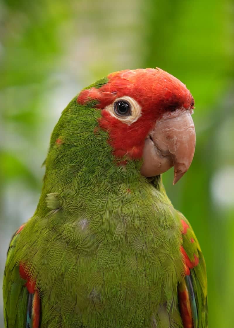 Santa Fe Zoo - Image 1