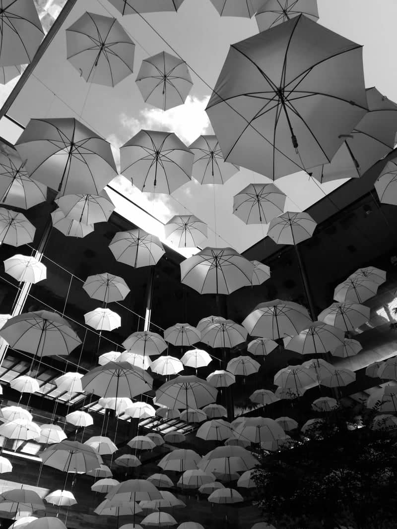 Palace Avenue Umbrella Installation - Image 1