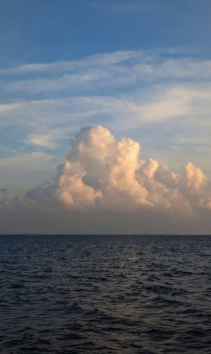 Vembanad Lake - Image 1
