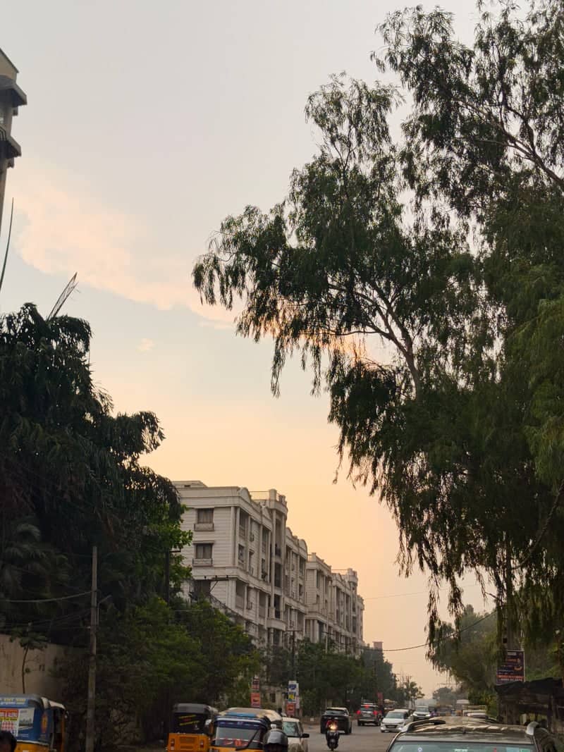 Toli Chowki Urban View - Image 1