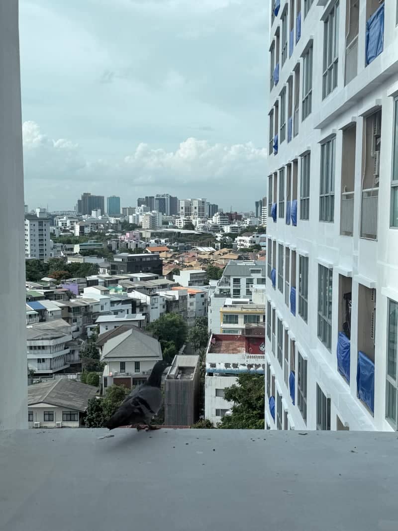 Sukhumvit 67 Urban Overlook - Image 1