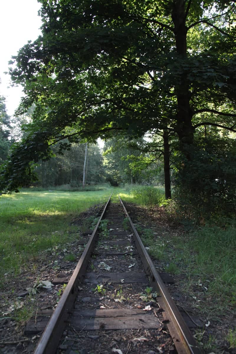 Františkovy Lázně Forest Railway - Image 1