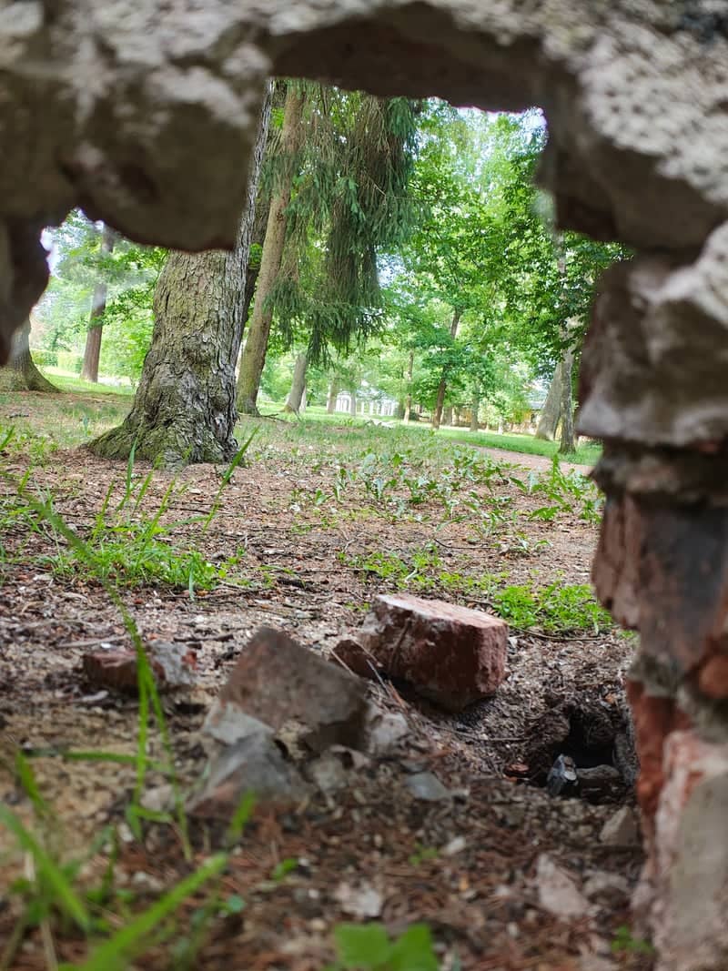 Františkovy Lázně Park Ruins - Image 1