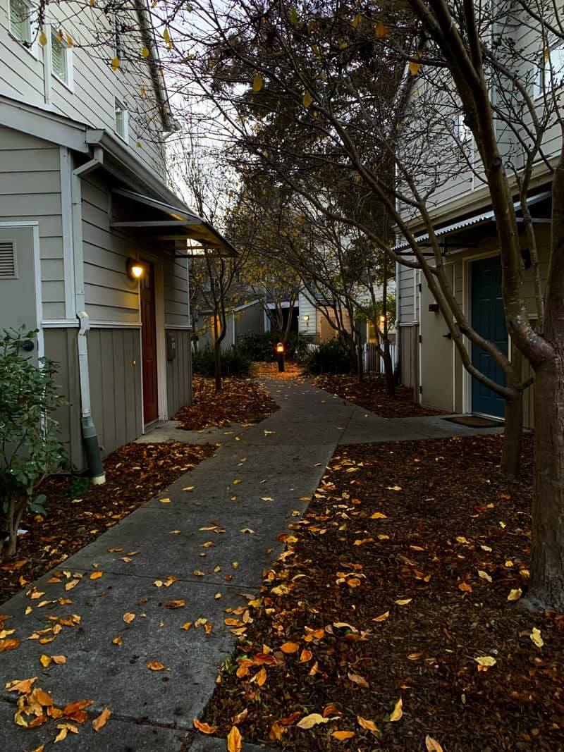 University Village Albany - Image 1