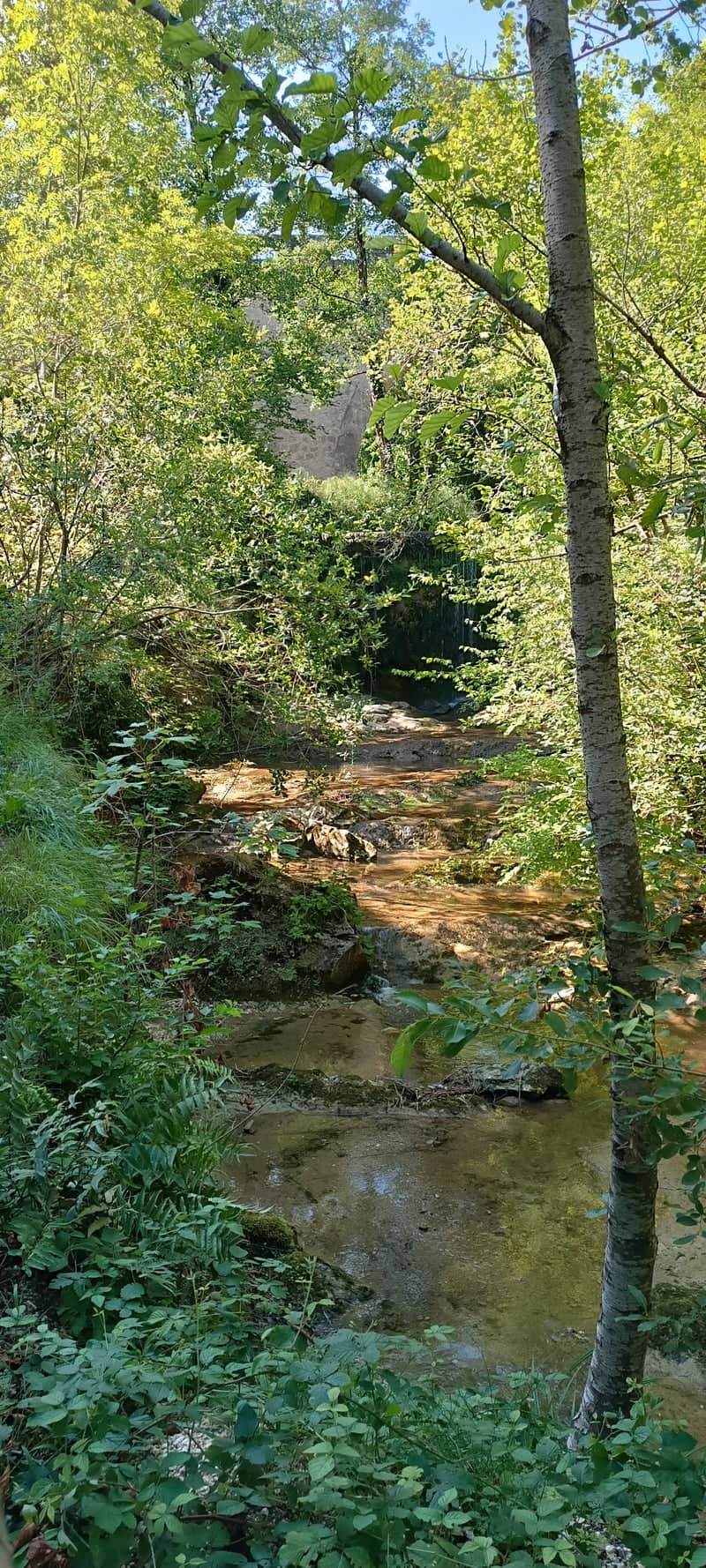 Grotte del Caglieron - Image 1