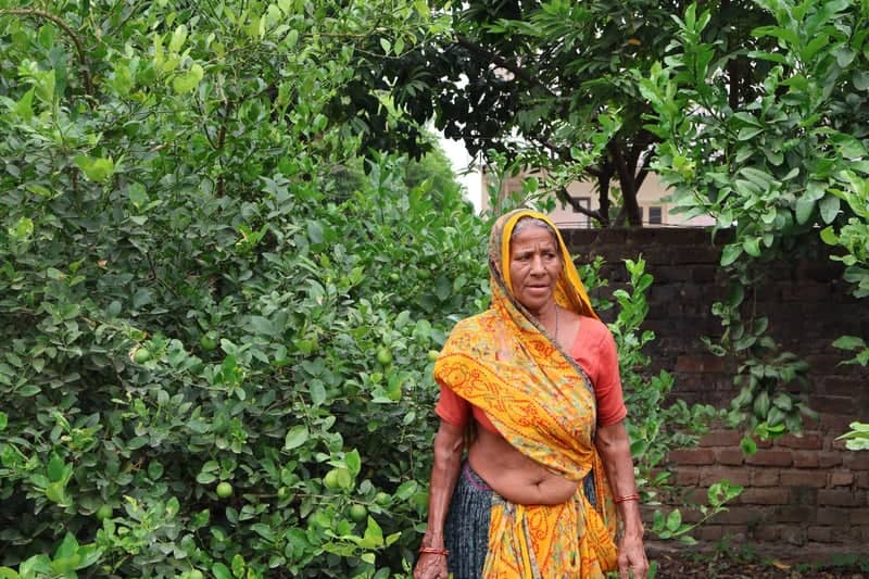 Mehsana Rural Orchard - Image 1