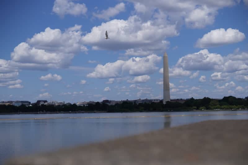 Washington Monument from the Tidal Basin - Image 1