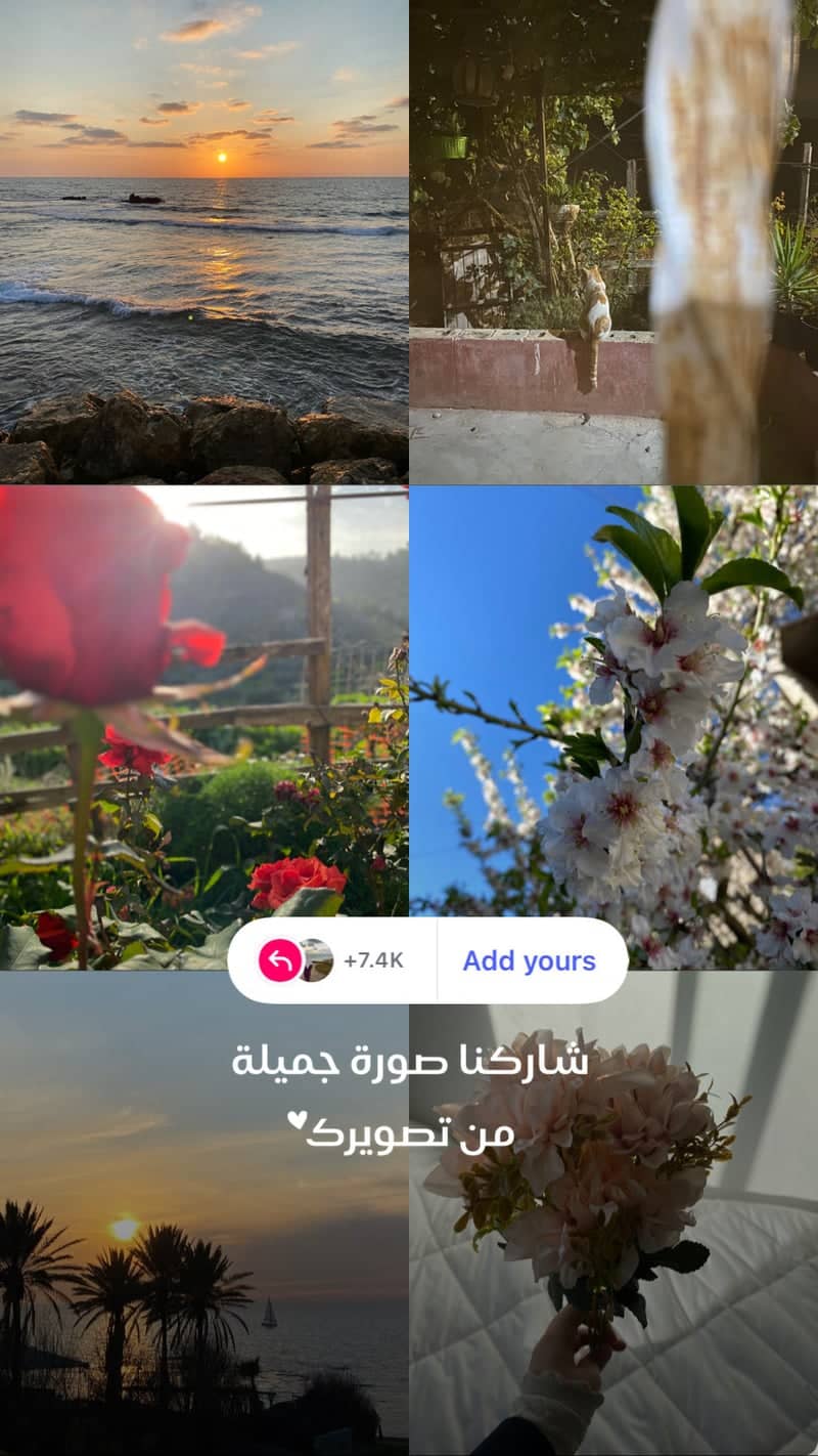 Sharafat Hillside Gardens - Image 1