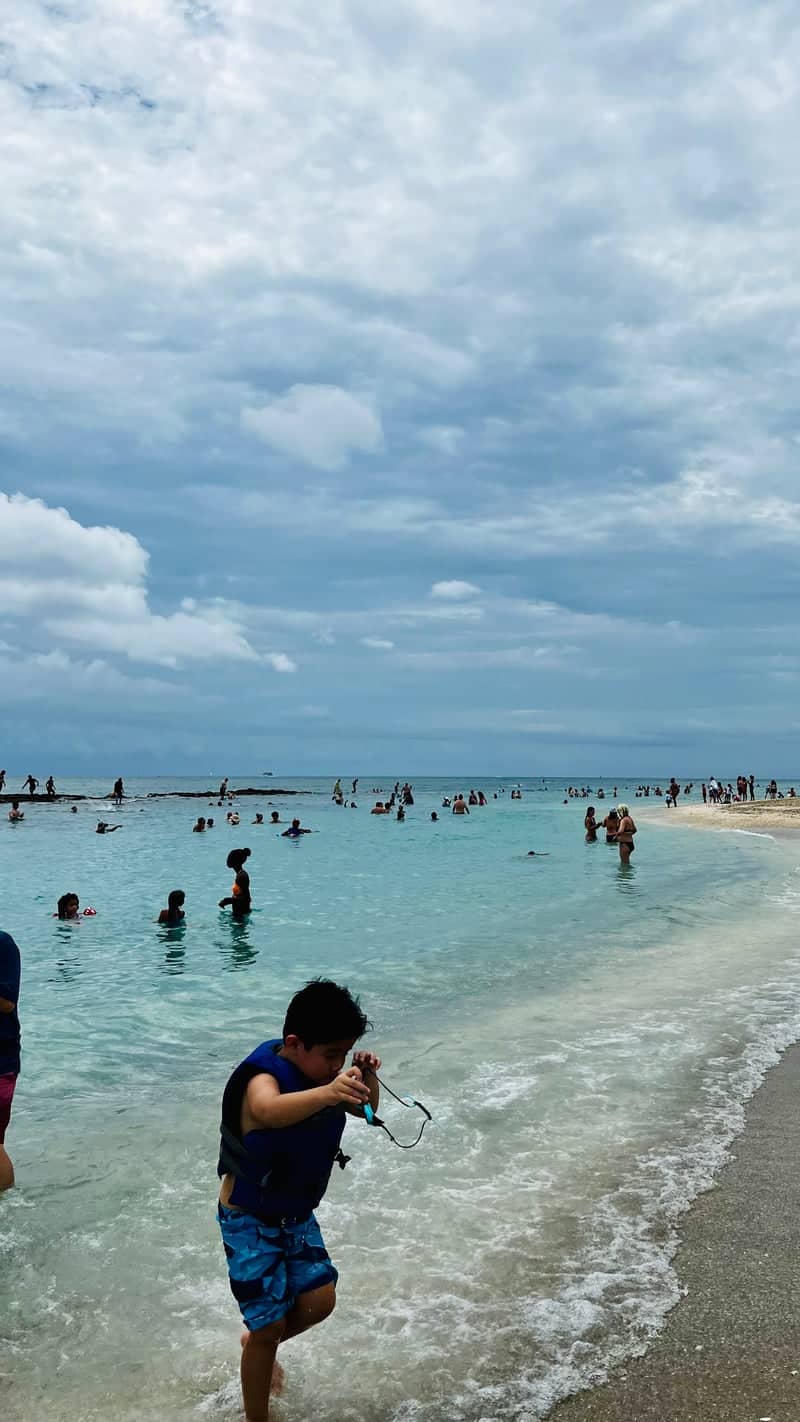 Phil Foster Park Beach - Image 1