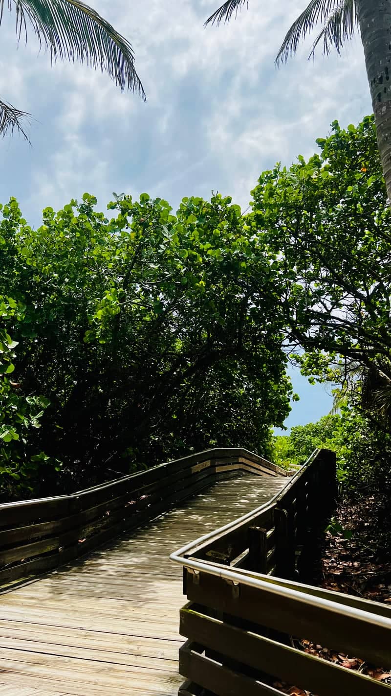 Singer Island Beach Access - Image 1