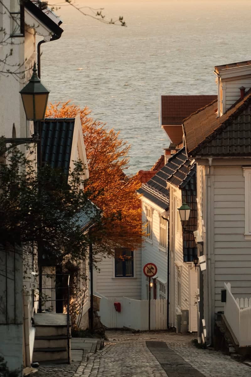 Sandviken Hillside Street - Image 1