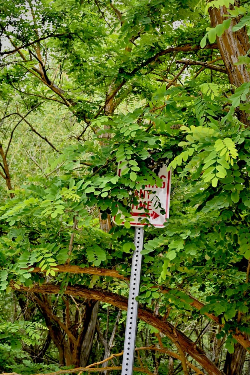 Boise River Greenbelt Trailside - Image 1