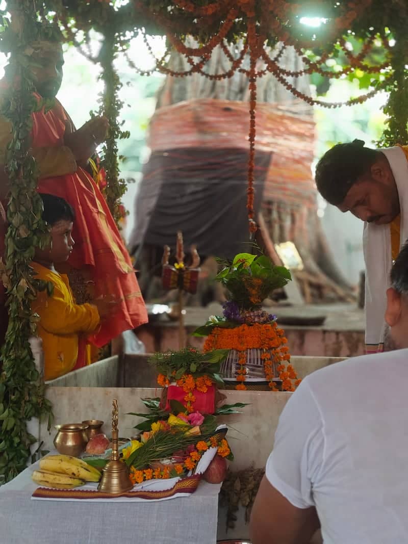 Sacred Tree Shrine, Central Colony - Image 1