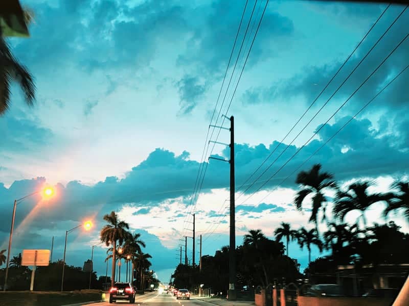 Hialeah Palm-Lined Boulevard - Image 1