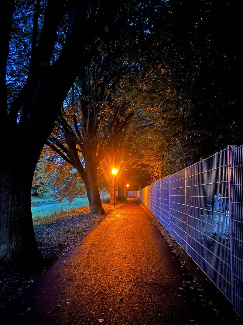 Röhrensee Park Pathway - Image 1