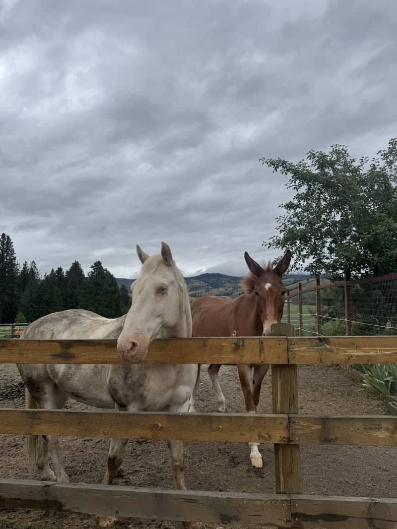 White Bird Trail Ranch - Image 1