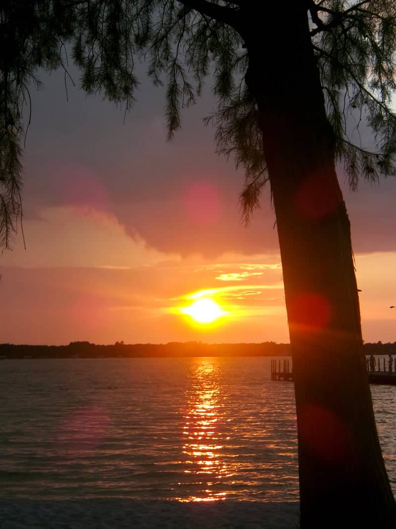 White Lake Shoreline - Image 1