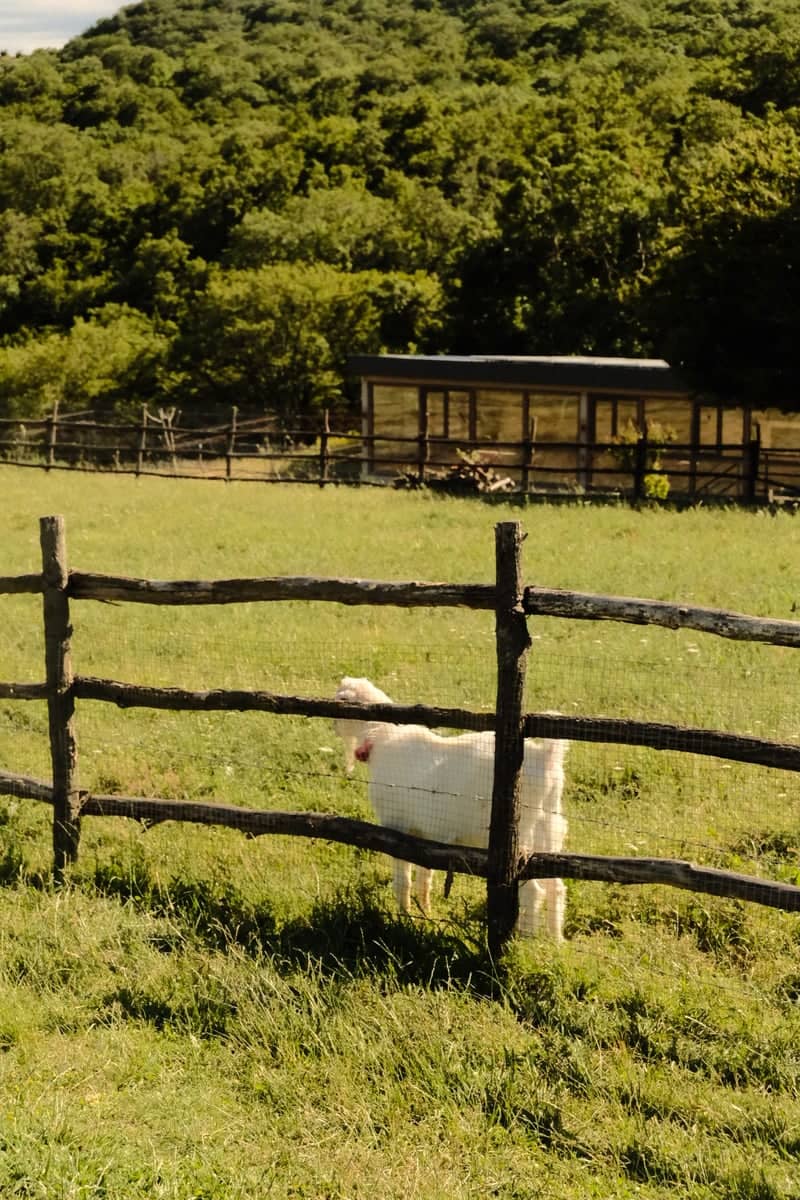 Ortakhevi Rural Pasture - Image 1