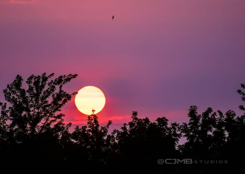 Marshall Sunset Overlook - Image 1