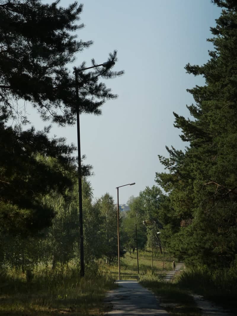 Taras Shevchenko Avenue Park Path - Image 1
