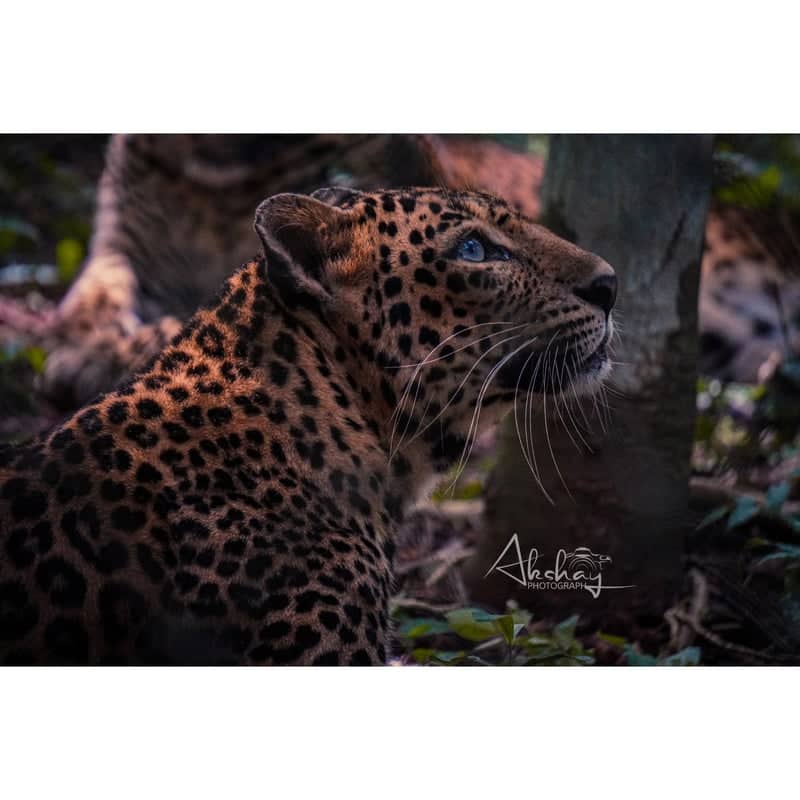Pilikula Biological Park - Image 1