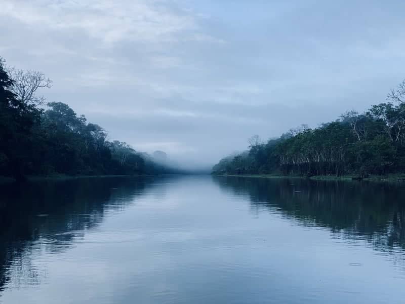 Amazon River, Fernando Lores - Image 1