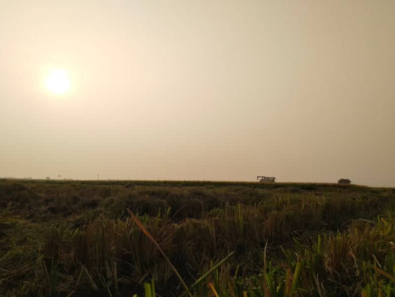 Guntur Harvest Fields - Image 1