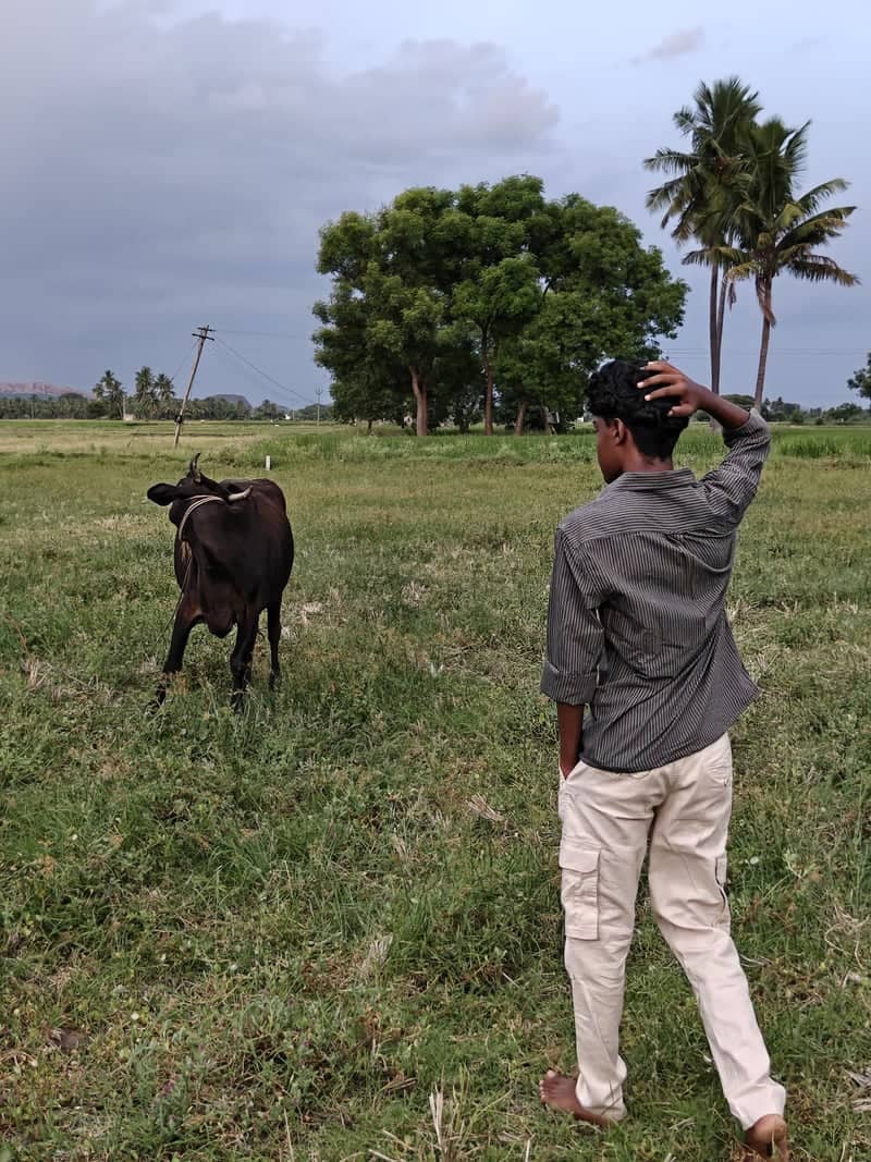 Kariapatti Rural Farmland - Image 1