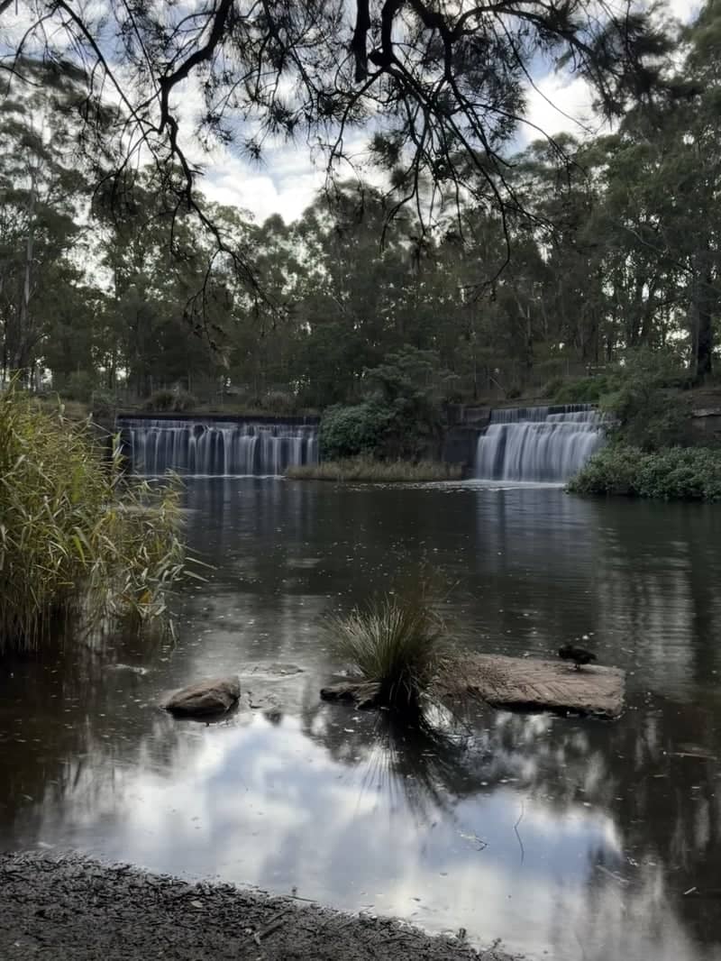 Central Gardens Nature Reserve - Image 1