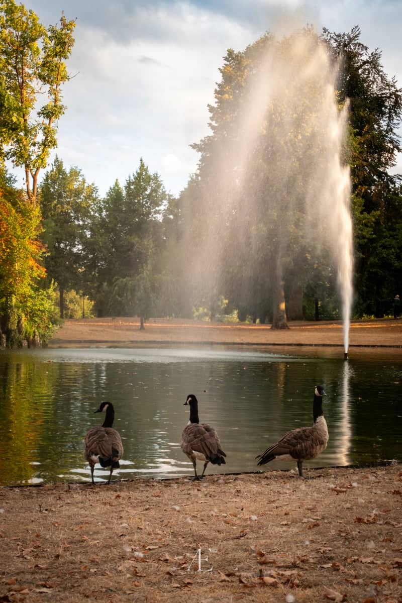 Schlossgarten Hanau - Image 1
