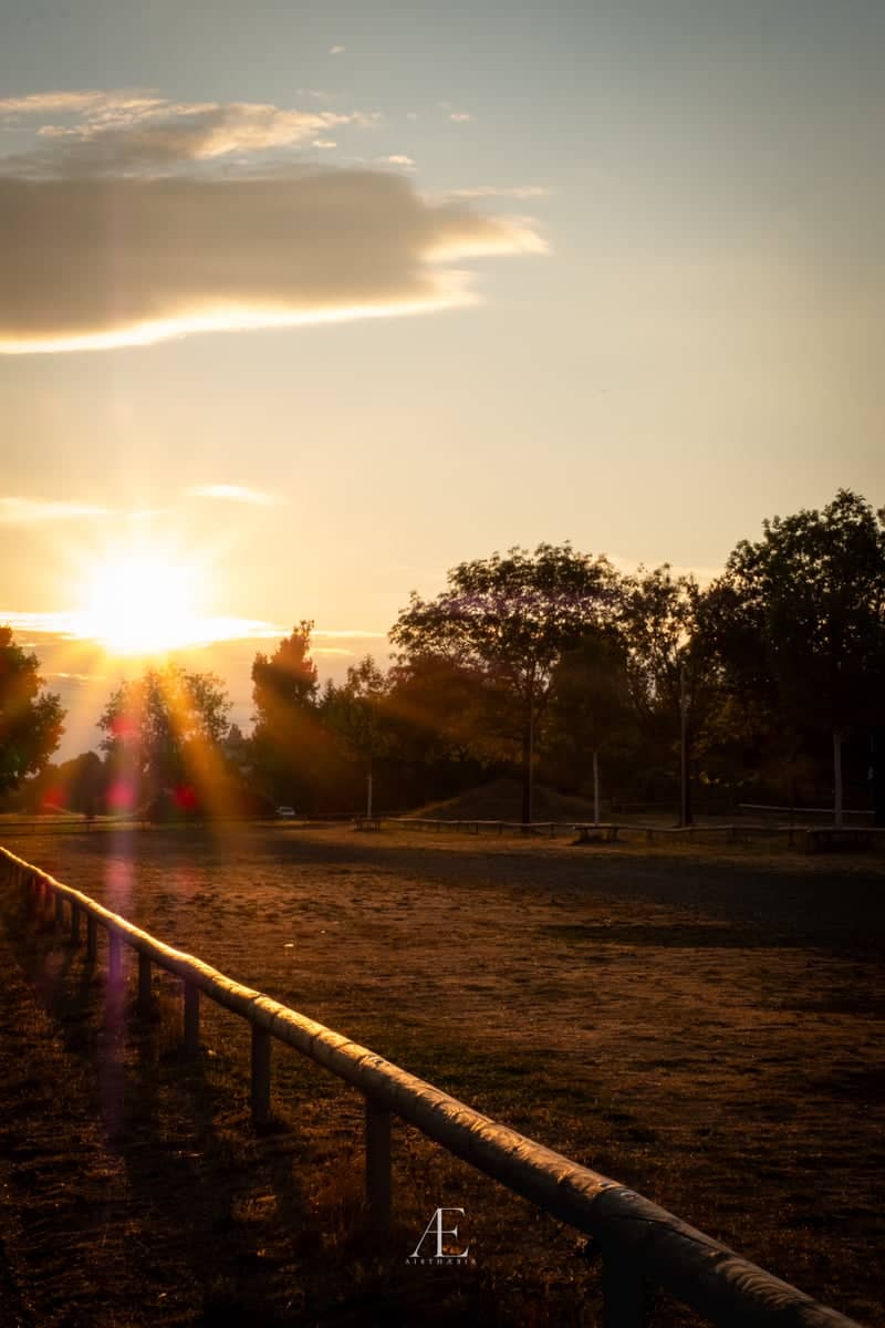 Hanau Park Sunset - Image 1